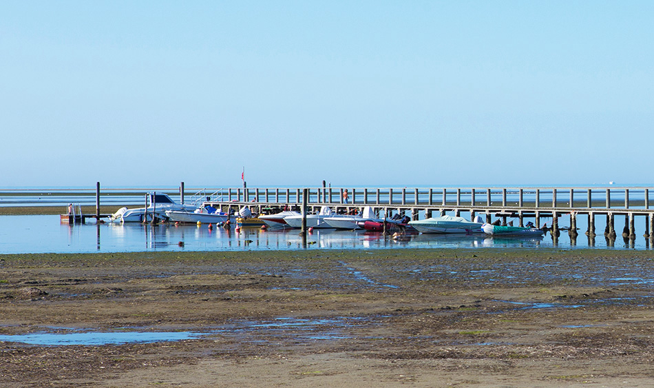Al Bosco Frioul-Vénétie Julienne - Grado visuel 2/3