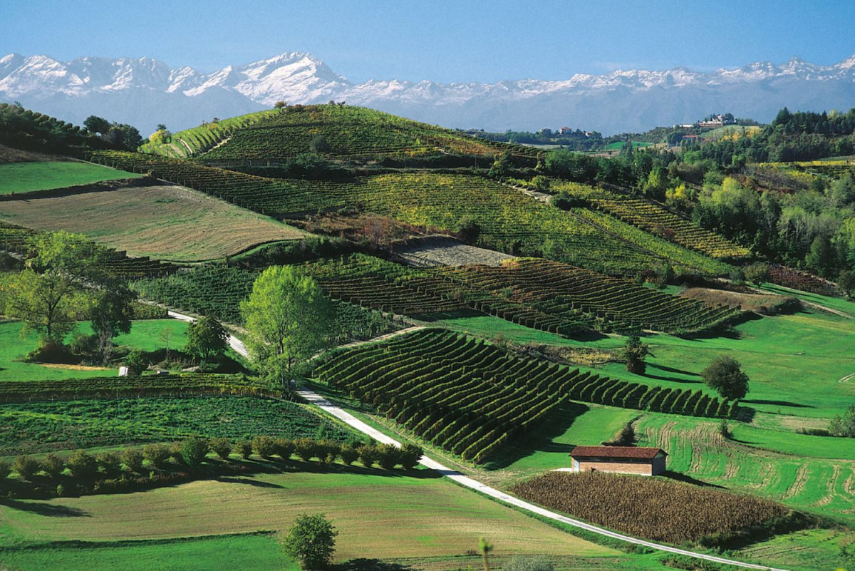 Alba Village Piémont - Alba visuel 8/9 Alba Village Piémont - Alba visuel 8/9