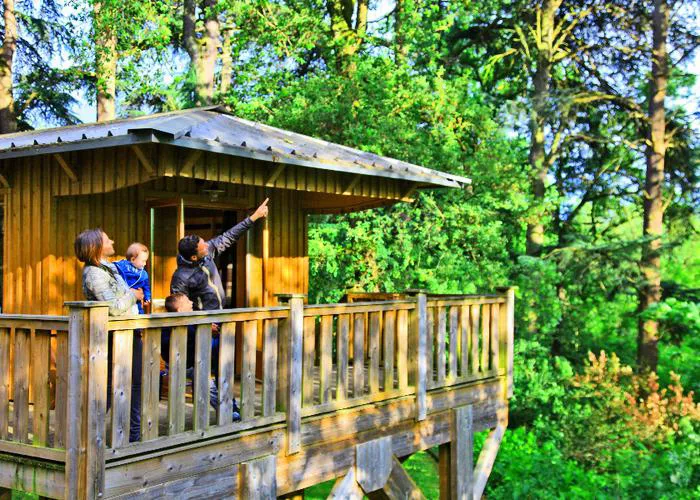 Camping Albirondack Park Lodge & Spa Midi-Pyrénées - Albi visuel 4/15