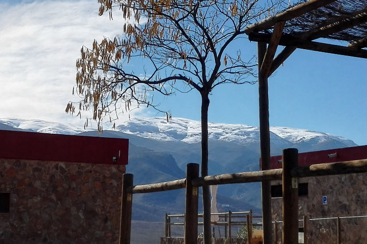 Almócita Andalousie - Almocita visuel 2/5 Almócita Andalousie - Almocita visuel 2/5