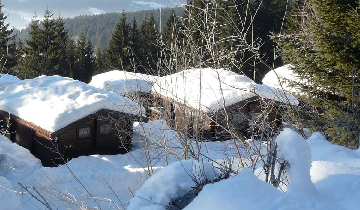 Alpenferien Park Carinthie - Kirchbach visuel 3/3