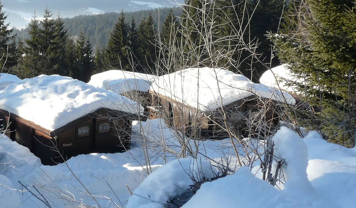Camping Alpenferien Park Carinthie - Kirchbach visuel 3/3