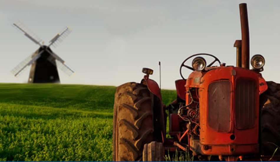 Am See Mecklembourg-Poméranie-Occidentale - alt schwerin visuel 3/3