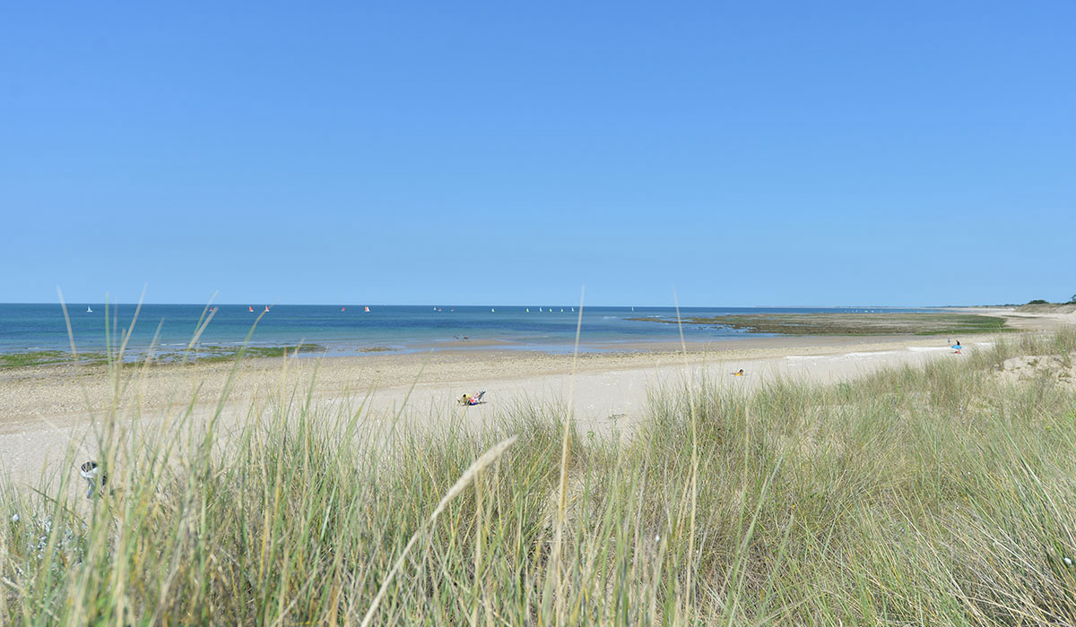 Antioche Poitou-Charentes - Le Bois-Plage-en-Ré visuel 20/31