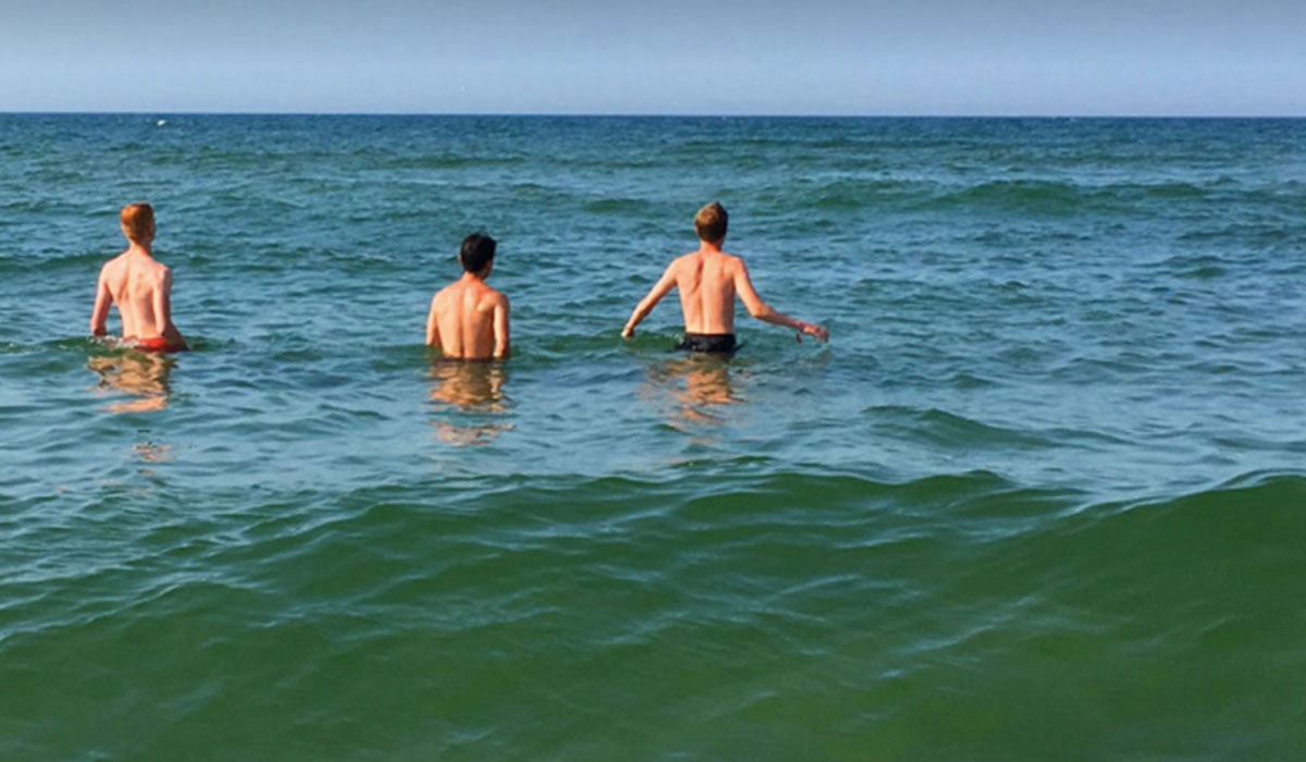 Appelhof Frise - Terschelling visuel 3/3 Appelhof Frise - Terschelling visuel 3/3