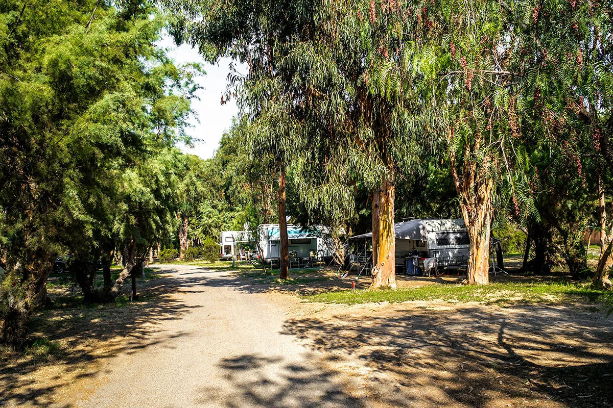 Camping Arinella Bianca Corse - Ghisonaccia visuel 17/17