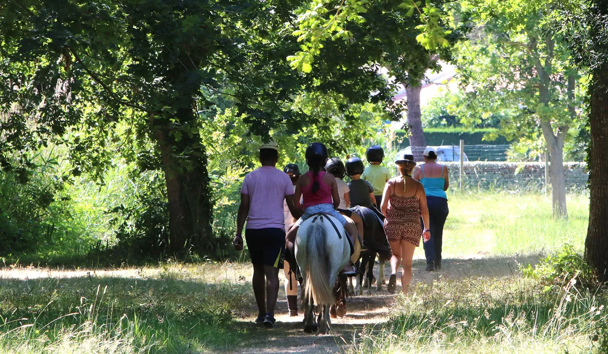 Camping Atlantique Parc Poitou-Charentes - Les Mathes-La Palmyre visuel 4/16