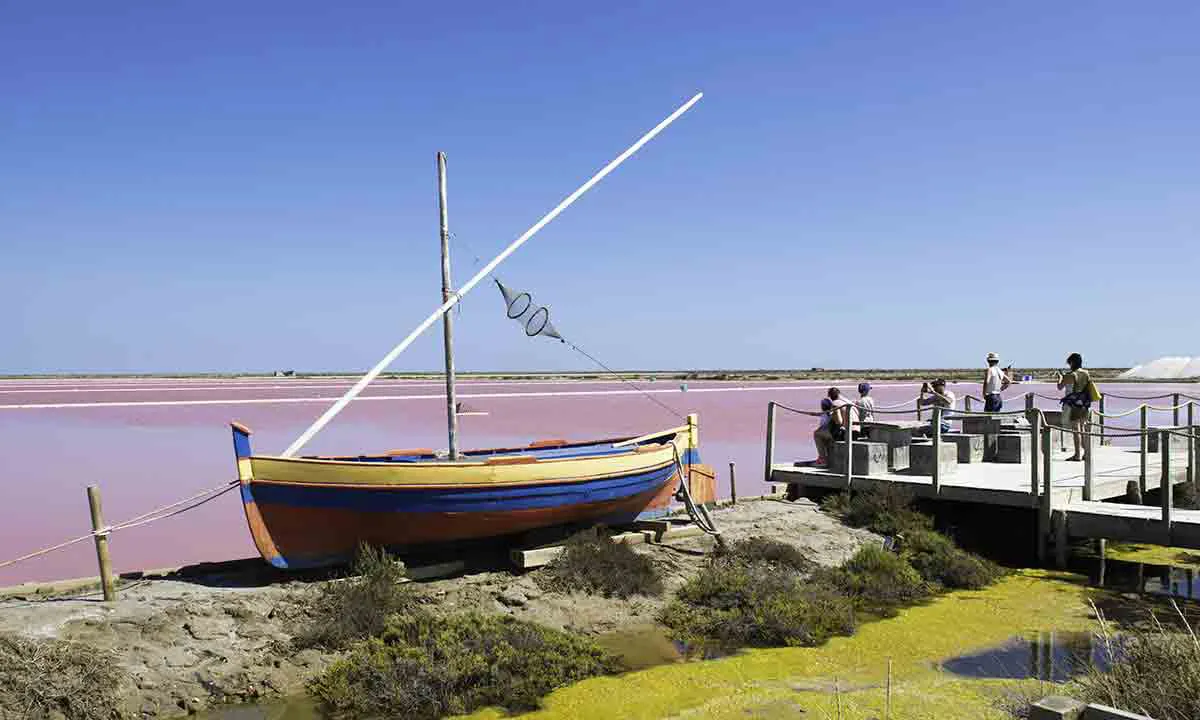 Camping Barberousse Languedoc-Roussillon - Gruissan visuel 3/12