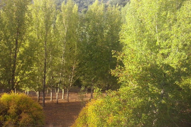 Batan de las Monjas Andalousie - San Nicolás del Puerto visuel 4/5