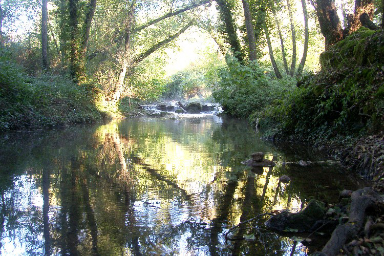 Batan de las Monjas Andalousie - San Nicolás del Puerto visuel 2/5