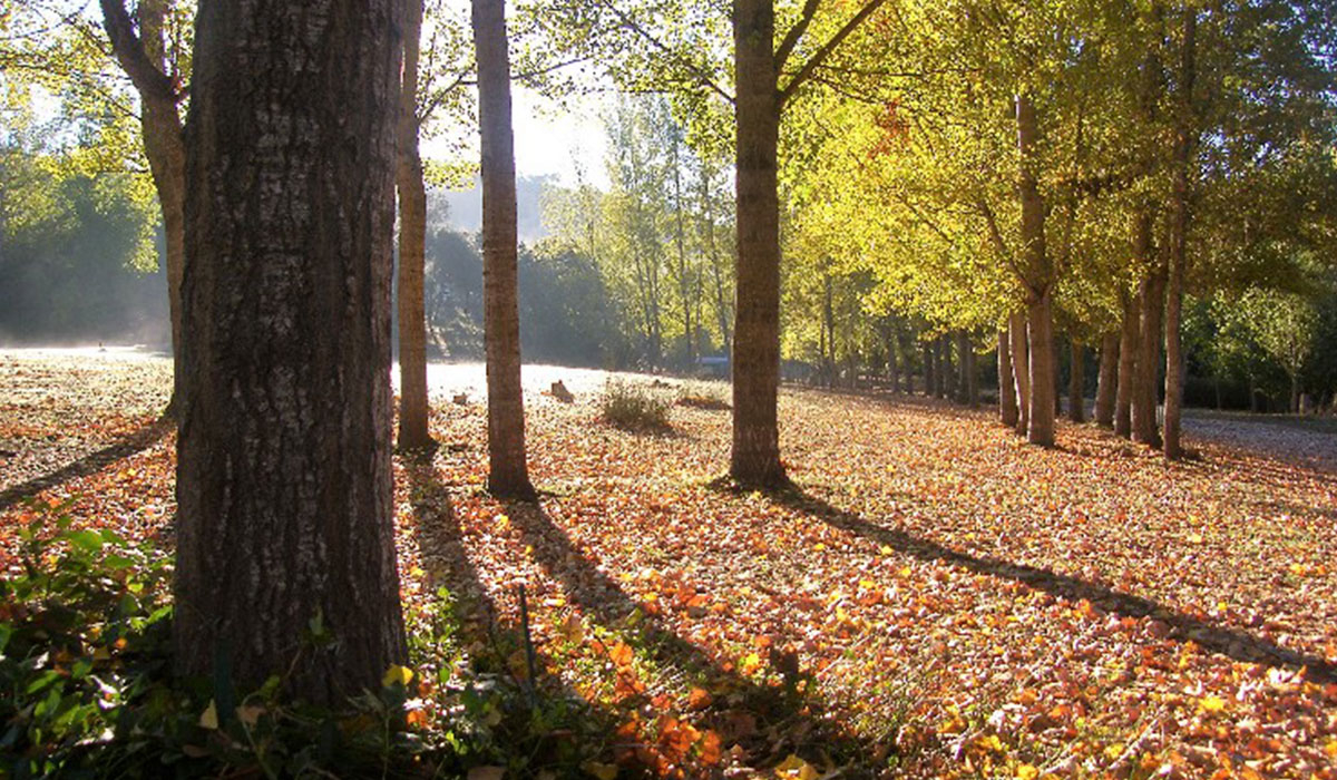 Batan de las Monjas Andalousie - San Nicolás del Puerto visuel 1/5