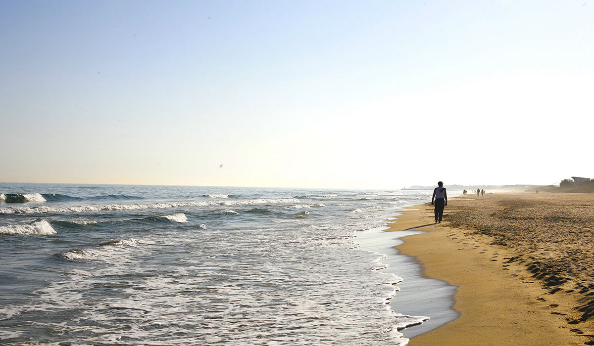 Beauregard Plage Languedoc-Roussillon - Marseillan visuel 2/8