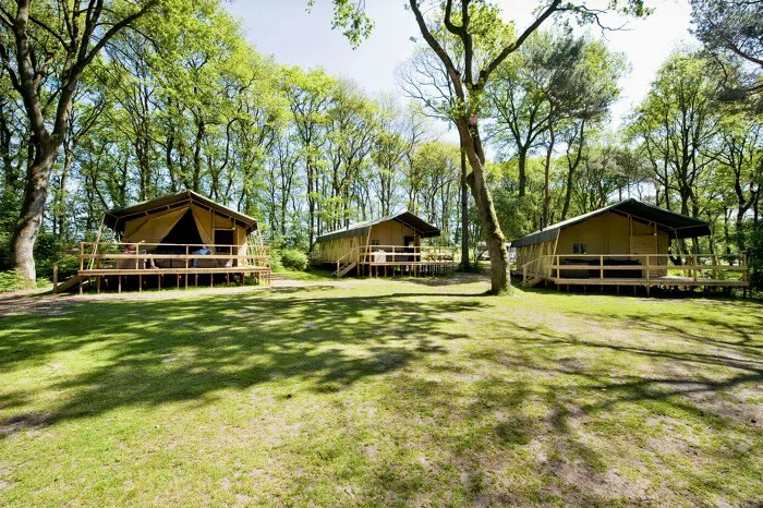 Camping Beerze Bulten Overijssel - Beerze visuel 6/6