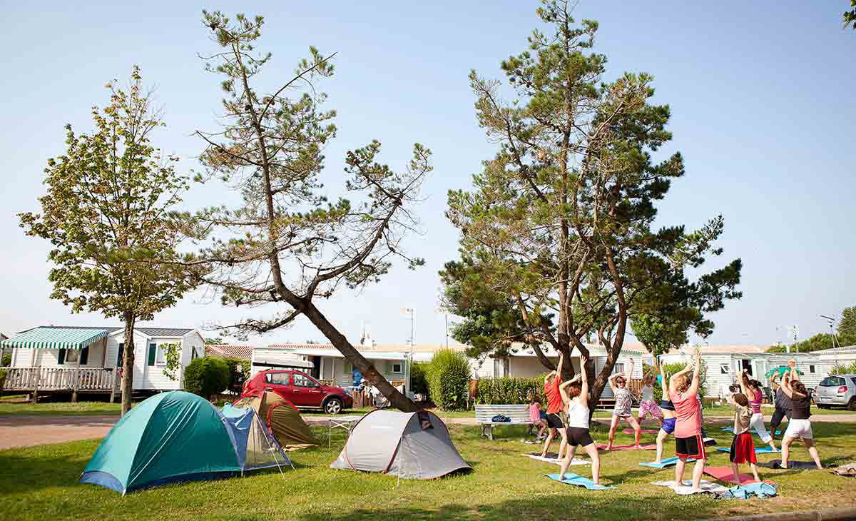 Bel Air Pays de Loire - L'Aiguillon-sur-Mer visuel 9/19