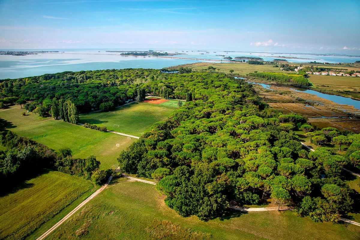 Camping Belvedere Pineta Vénétie - Grado visuel 3/11