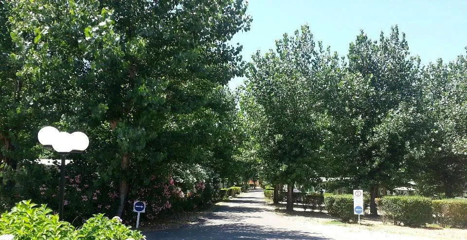 Camping Benista Corse - Porticcio visuel 6/10