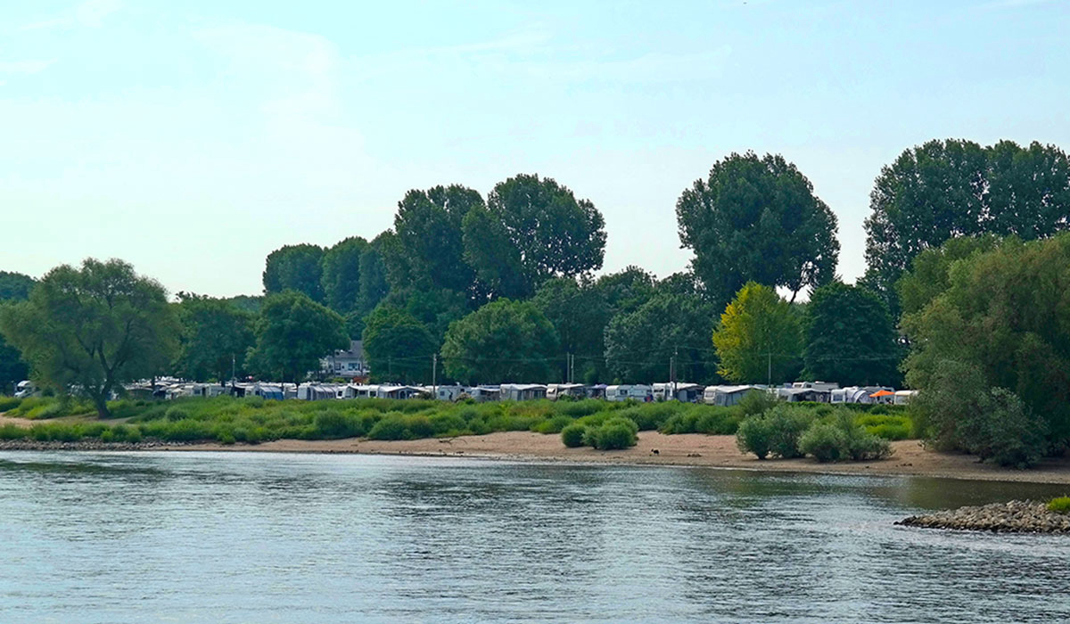 Berger Rhénanie-du-Nord-Westphalie - Cologne visuel 1/3 Berger Rhénanie-du-Nord-Westphalie - Cologne visuel 1/3