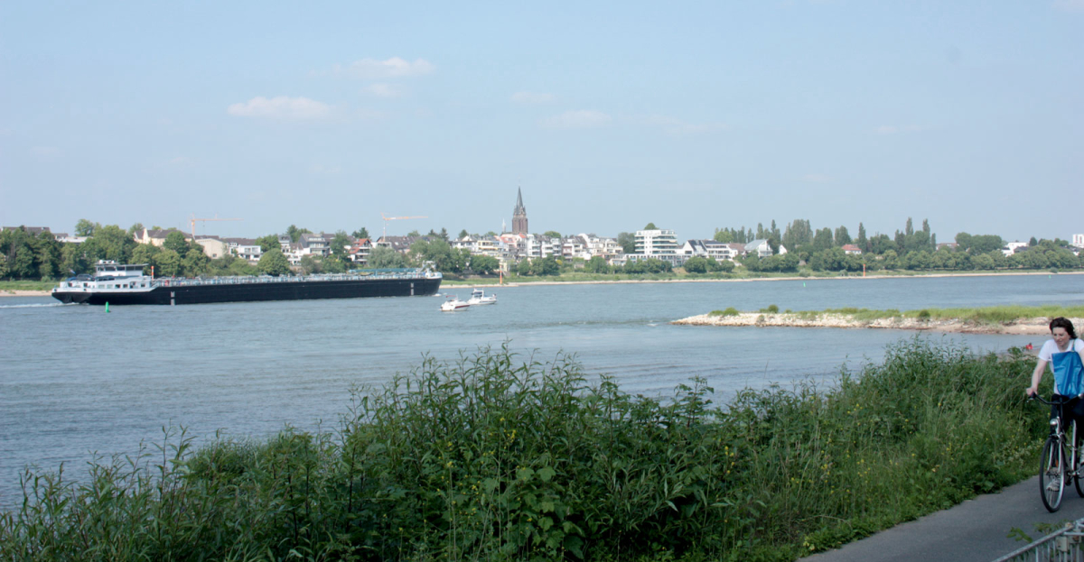 Berger Rhénanie-du-Nord-Westphalie - Cologne visuel 2/3 Berger Rhénanie-du-Nord-Westphalie - Cologne visuel 2/3