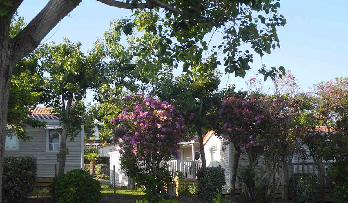 Biarritz Camping Aquitaine - Biarritz visuel 2/10