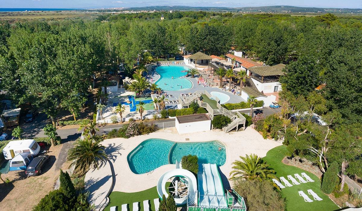 Blue bayou coupons