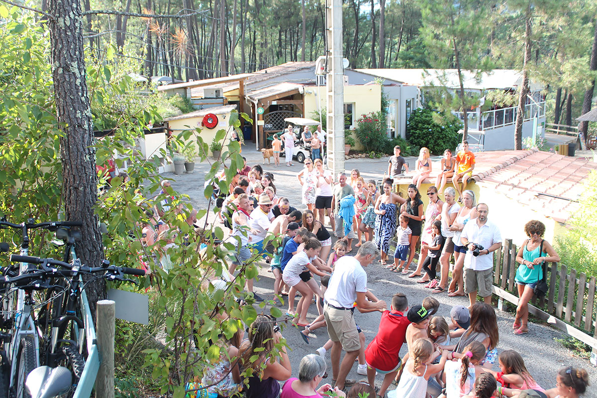 Bois Simonet Rhône-Alpes - Joyeuse visuel 12/23