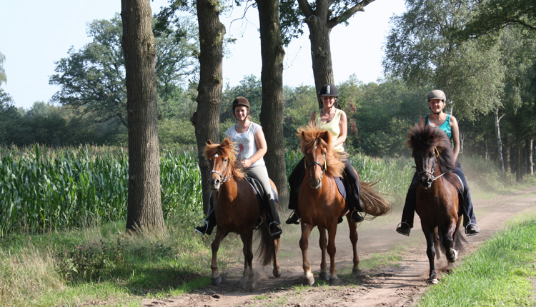 Borken am See Rhénanie-du-Nord-Westphalie - borken visuel 5/6 Borken am See Rhénanie-du-Nord-Westphalie - borken visuel 5/6