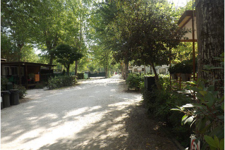 Bosco Verde Toscane - Torre del Lago Puccini visuel 2/11 Bosco Verde Toscane - Torre del Lago Puccini visuel 2/11