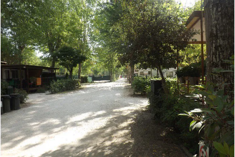 Camping Bosco Verde Toscane - Torre del Lago Puccini visuel 2/11