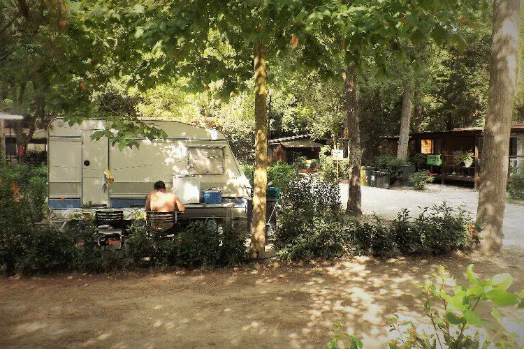 Camping Bosco Verde Toscane - Torre del Lago Puccini visuel 4/11