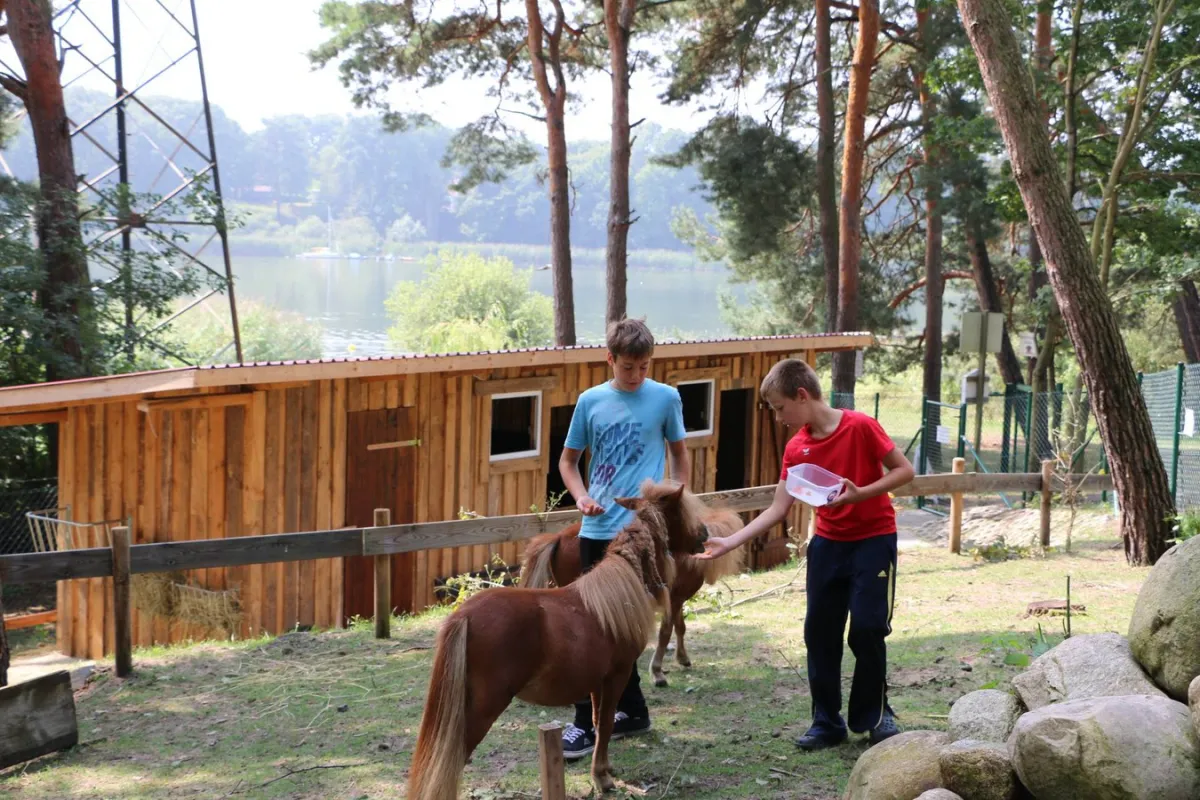 Camping Buntspecht Brandebourg - Stechow-Ferchesar visuel 2/3