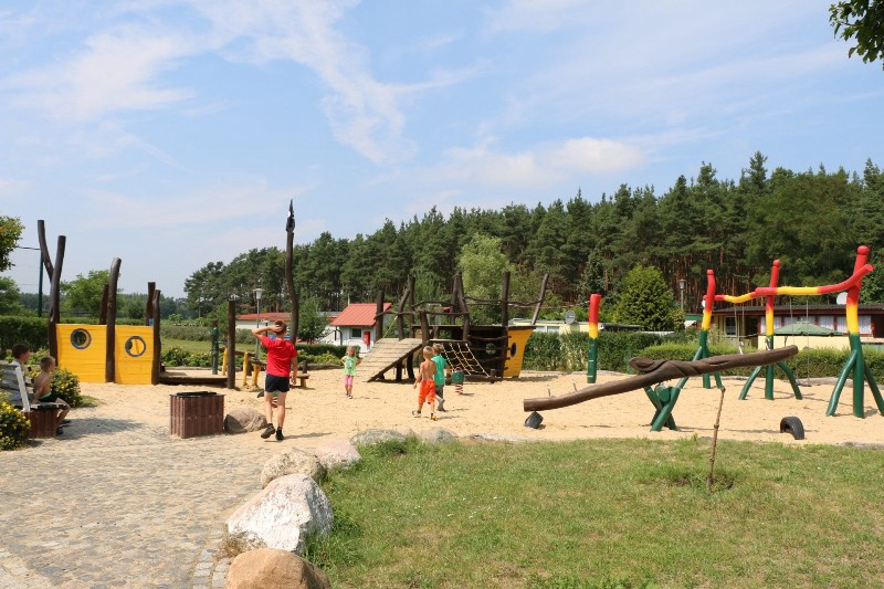 Buntspecht Brandebourg - Stechow-Ferchesar visuel 3/3