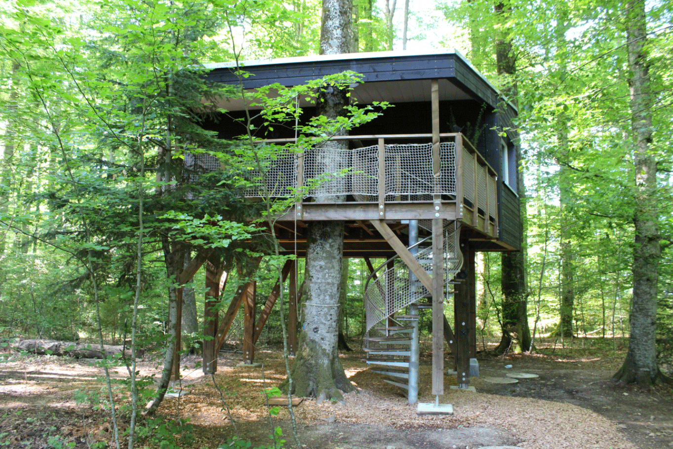 Cabanes du Mont Suisse du Nord-Ouest - Coeuve visuel 1/1 Cabanes du Mont Suisse du Nord-Ouest - Coeuve visuel 1/1