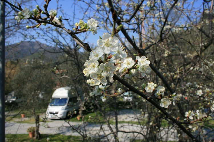 Camping Acqua Dolce Ligurie - levanto visuel 2/3 Camping Acqua Dolce Ligurie - levanto visuel 2/3