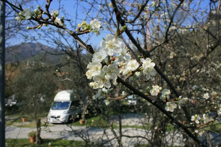 Camping Acqua Dolce Ligurie - levanto visuel 2/3