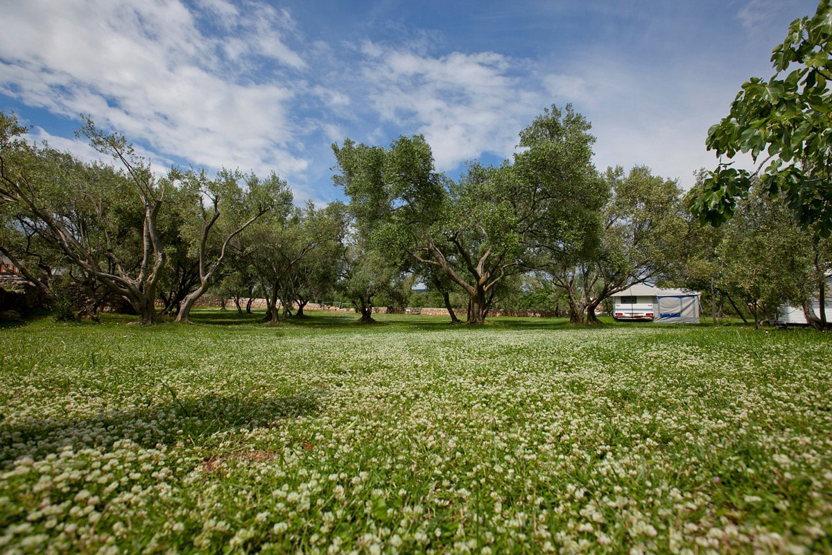 Camping Bor Primorje-Gorski Kotar - Krk visuel 3/3 Camping Bor Primorje-Gorski Kotar - Krk visuel 3/3