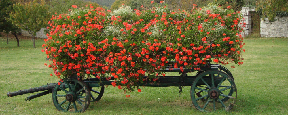 Camping Brajda Gorizia - Sežana visuel 3/3 Camping Brajda Gorizia - Sežana visuel 3/3