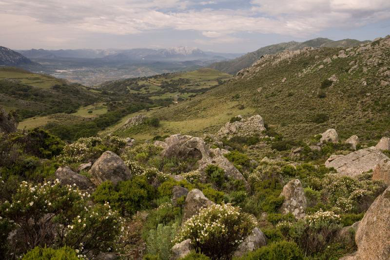 Camping Cala Ginepro Sardaigne - Orosei visuel 2/3 Camping Cala Ginepro Sardaigne - Orosei visuel 2/3