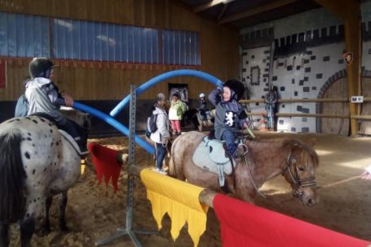 Ecurie Leseigneur Basse-Normandie - Bolleville visuel 5/6 Ecurie Leseigneur Basse-Normandie - Bolleville visuel 5/6