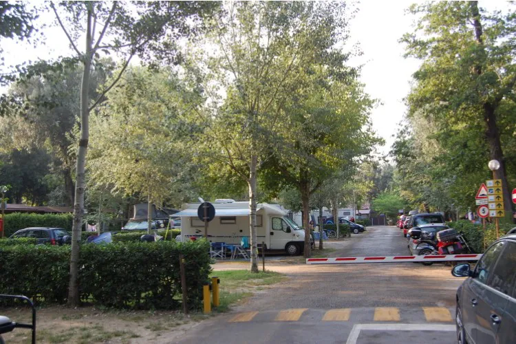Camping International Saint Michael Toscane - Pise visuel 4/7