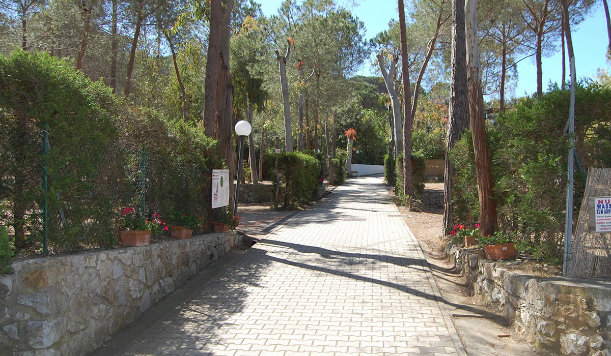 Camping Lacona Toscane - Lacona visuel 1/2 Camping Lacona Toscane - Lacona visuel 1/2