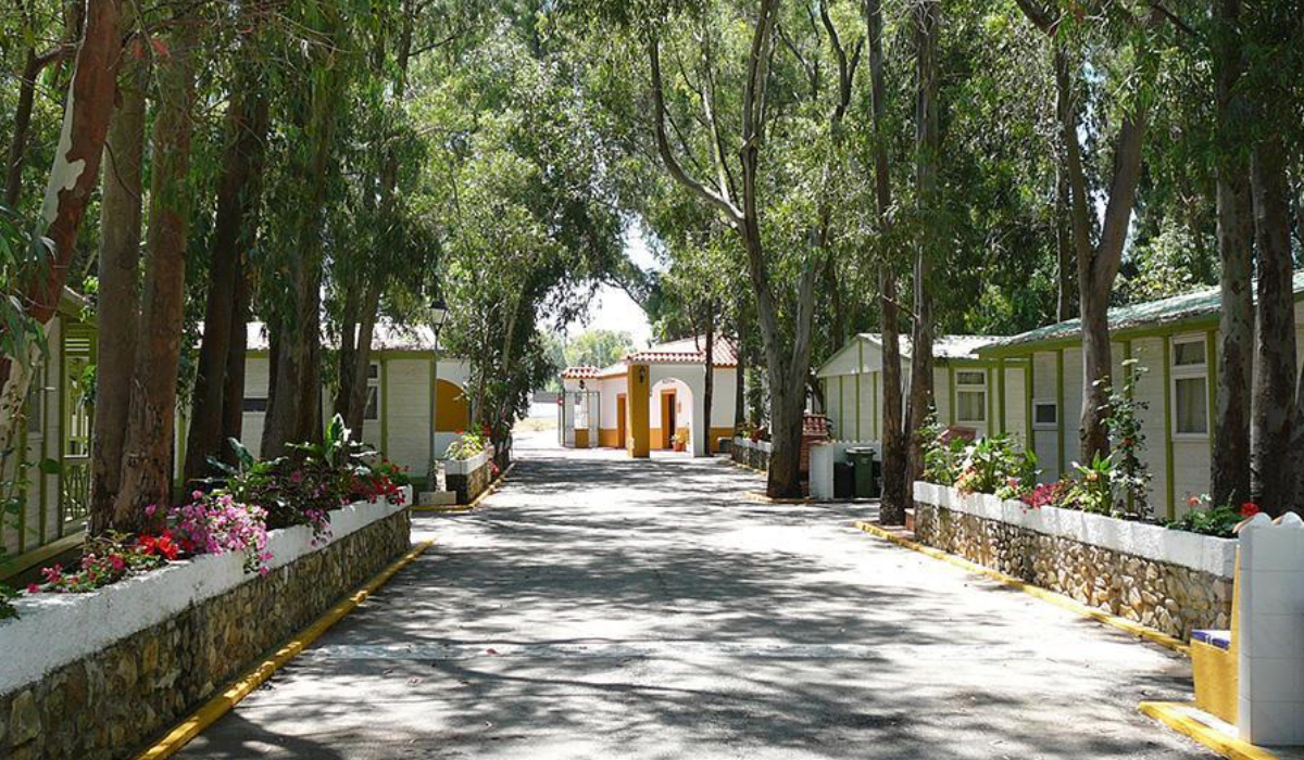 Camping Los Eucaliptos Andalousie - Conil de la Frontera visuel 1/1