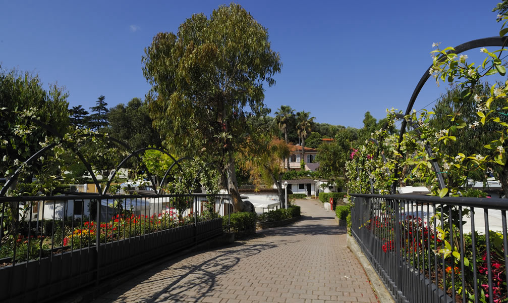 Camping Marino Ligurie - Diano Marina visuel 3/4