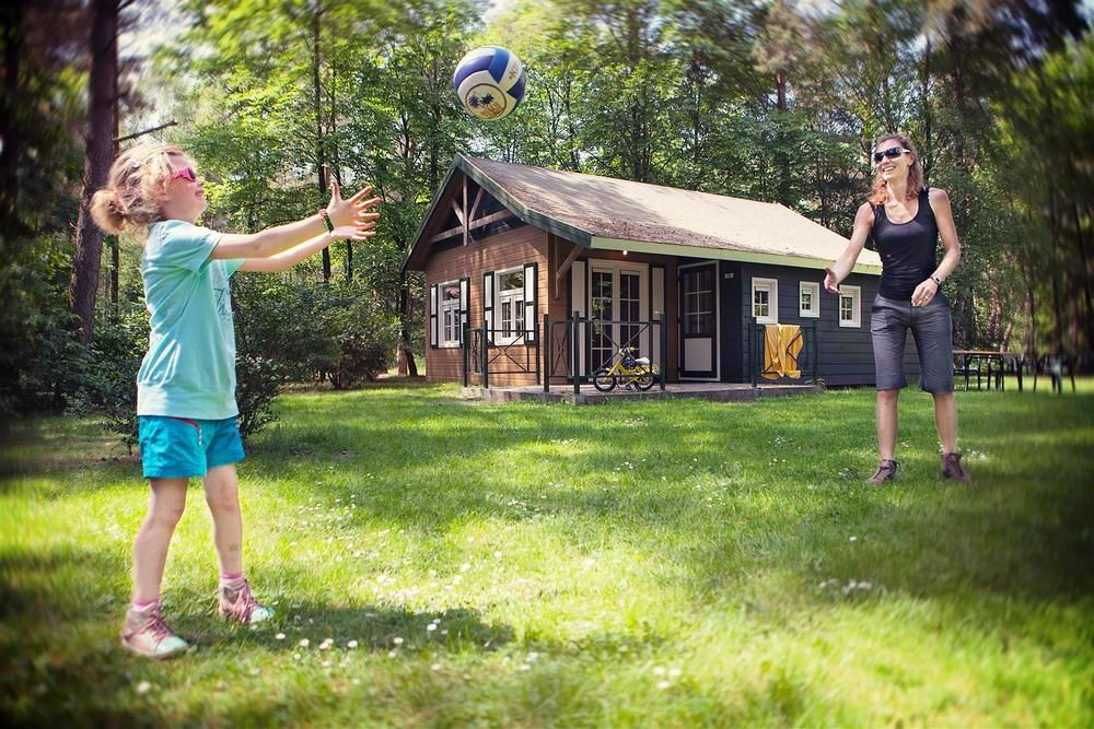 Camping Molenheide Limbourg - Houthalen-Helchteren visuel 3/3 Camping Molenheide Limbourg - Houthalen-Helchteren visuel 3/3