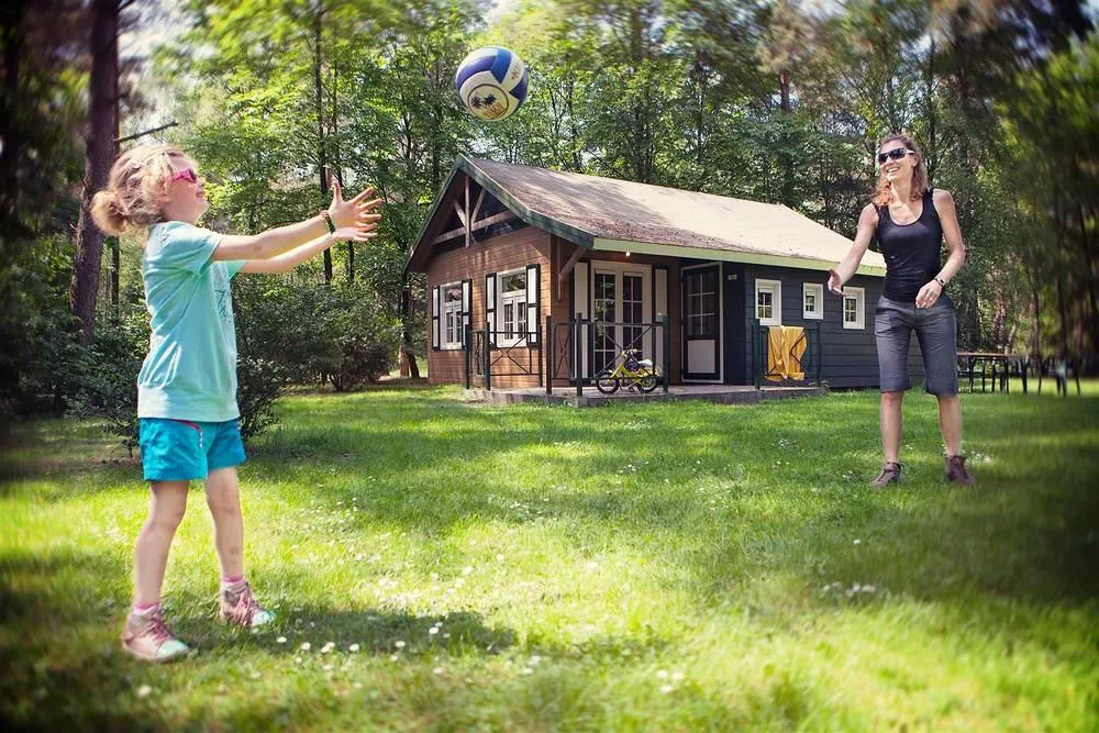 Camping Molenheide Limbourg - Houthalen-Helchteren visuel 3/3