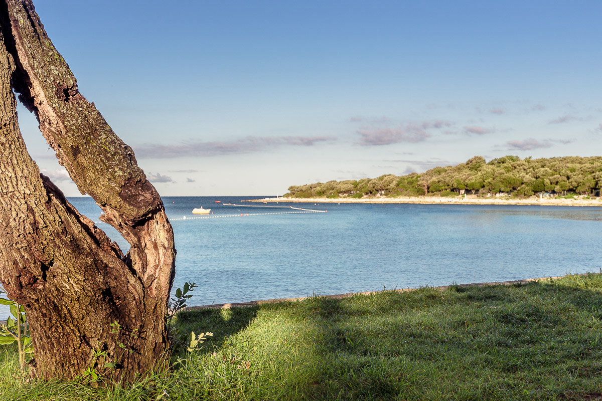 Mon Perin Istrie - Bale visuel 8/17