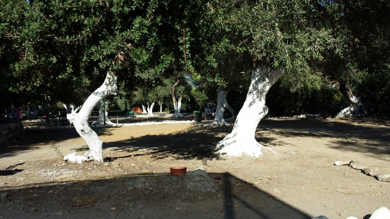 Camping Palechora Crète - Paleochora visuel 11/12