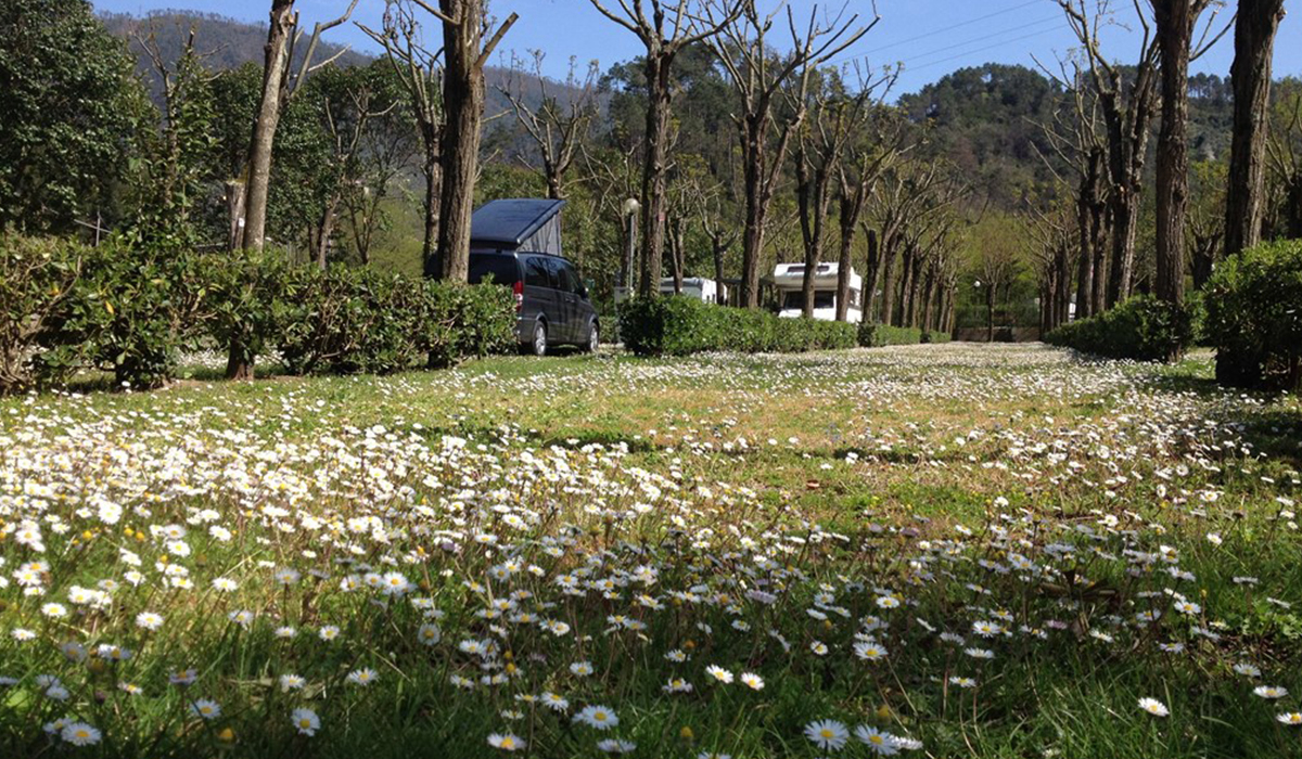 Camping Pian di Picche Ligurie - levanto visuel 1/3 Camping Pian di Picche Ligurie - levanto visuel 1/3