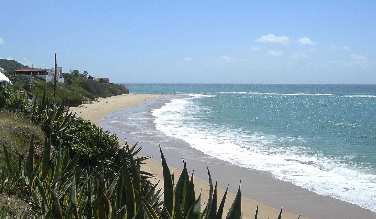 Camping Pinar San José Andalousie - Barbate visuel 1/1