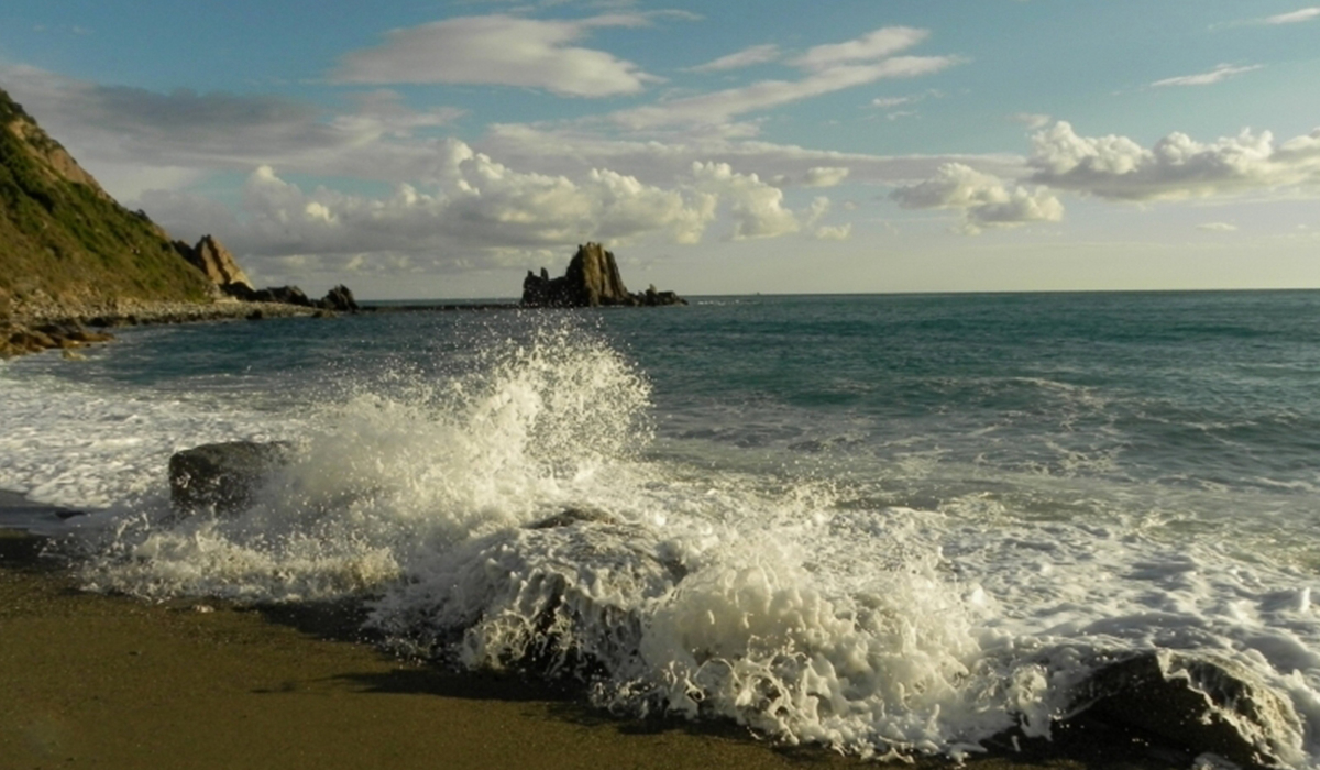 Camping Pineta Ligurie - Sestri Levante visuel 1/2 Camping Pineta Ligurie - Sestri Levante visuel 1/2