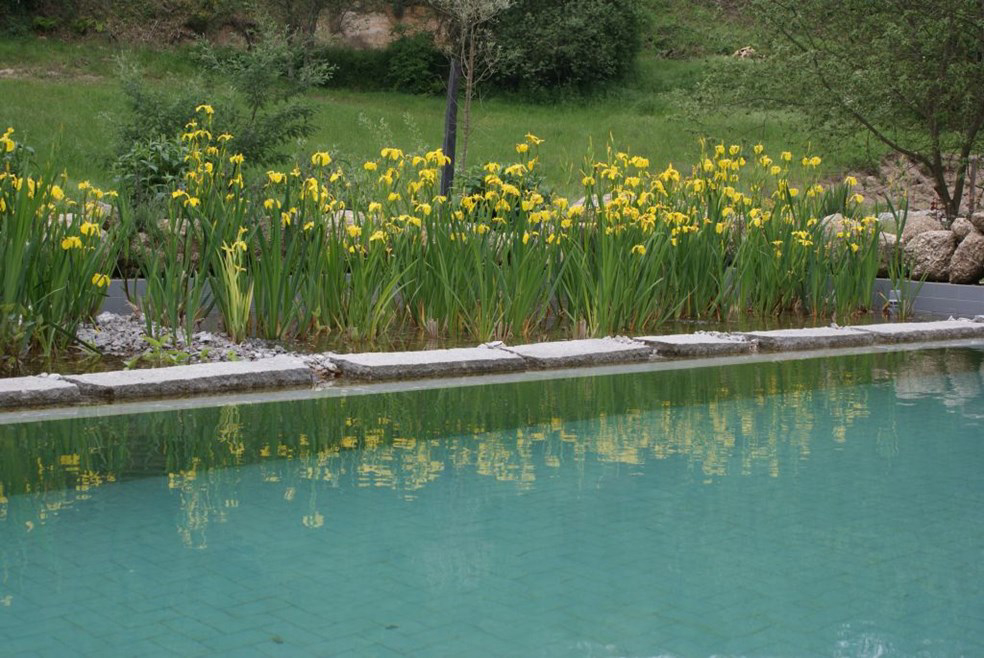 Camping Quinta do Retiro Norte - covas visuel 2/4 Camping Quinta do Retiro Norte - covas visuel 2/4